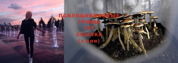 круглые Алексеевка