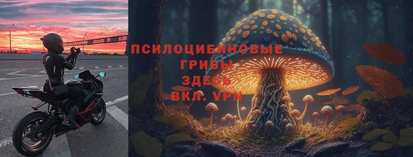 таблы Алексин