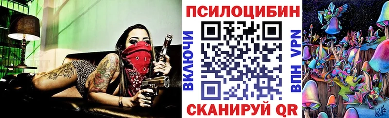 Псилоцибиновые грибы Psilocybine cubensis  Ельня 